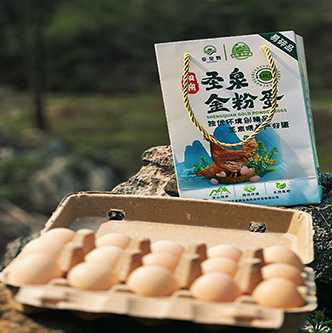 圣泉金粉蛋12枚/500-1000g