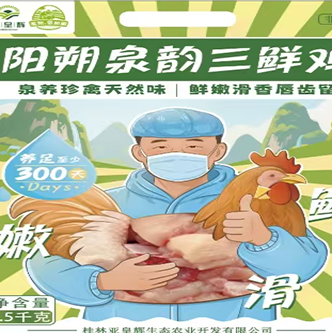 阳朔泉韵三鲜鸡